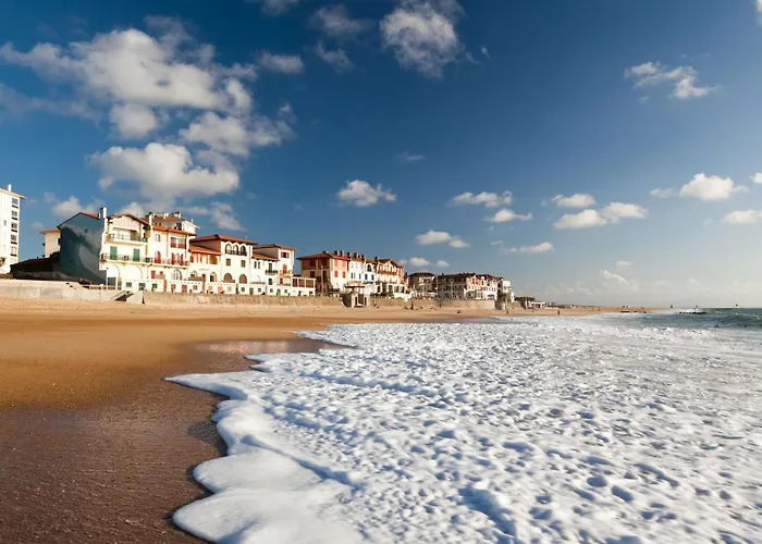 La Pergola-1 By Interhome * Soorts-Hossegor